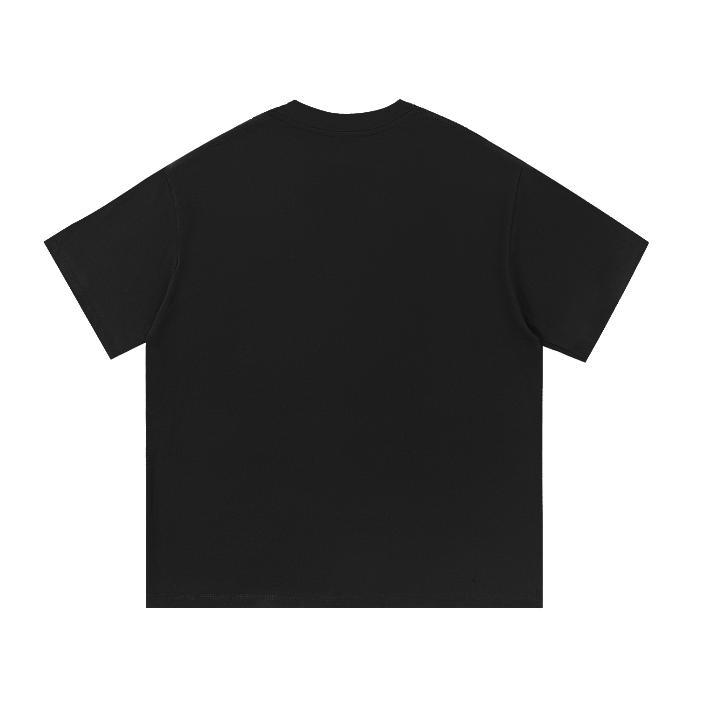 Snow Brushed Star Logo T-Shirt